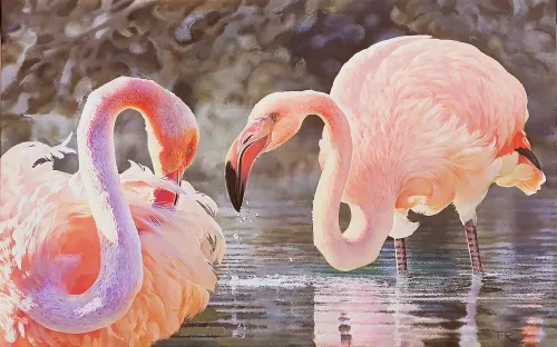 PINK-FLAMINGOS